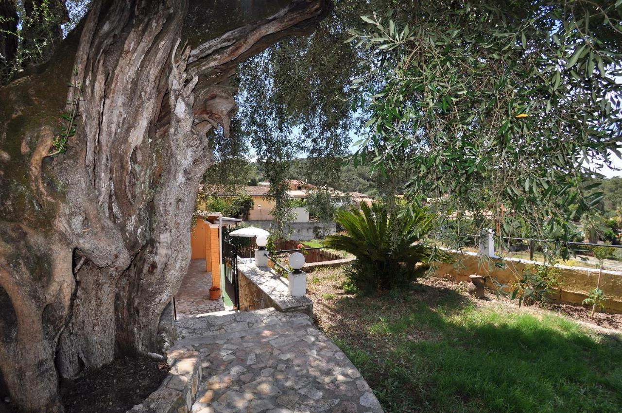 Maria - Roumanis Appartement Liapades